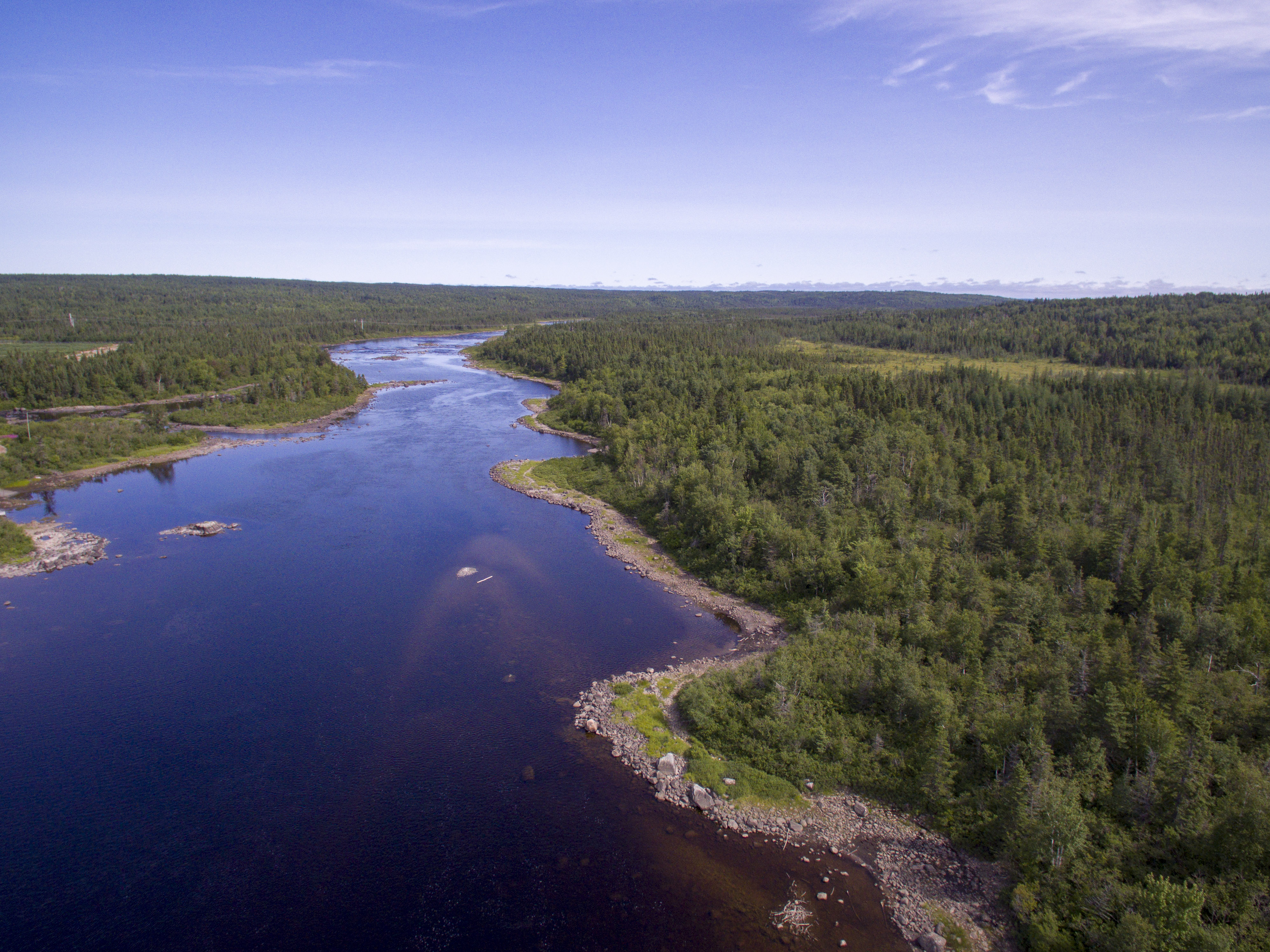 Gander River and the forested landscape near Glenwood